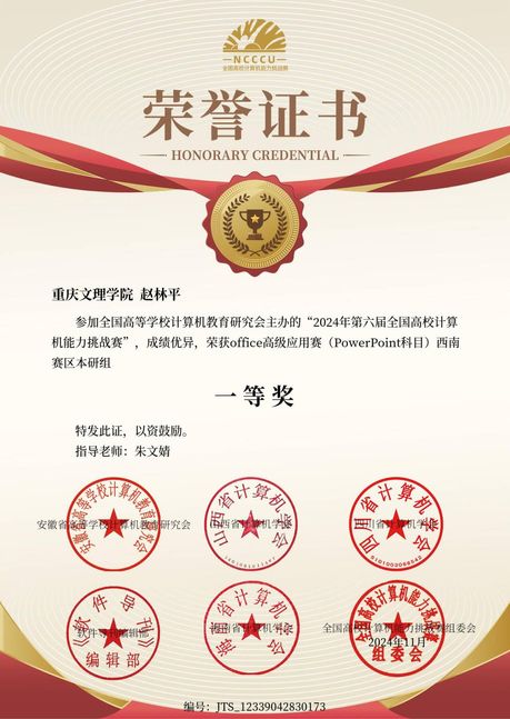 计算机应用能力挑战赛官方认证